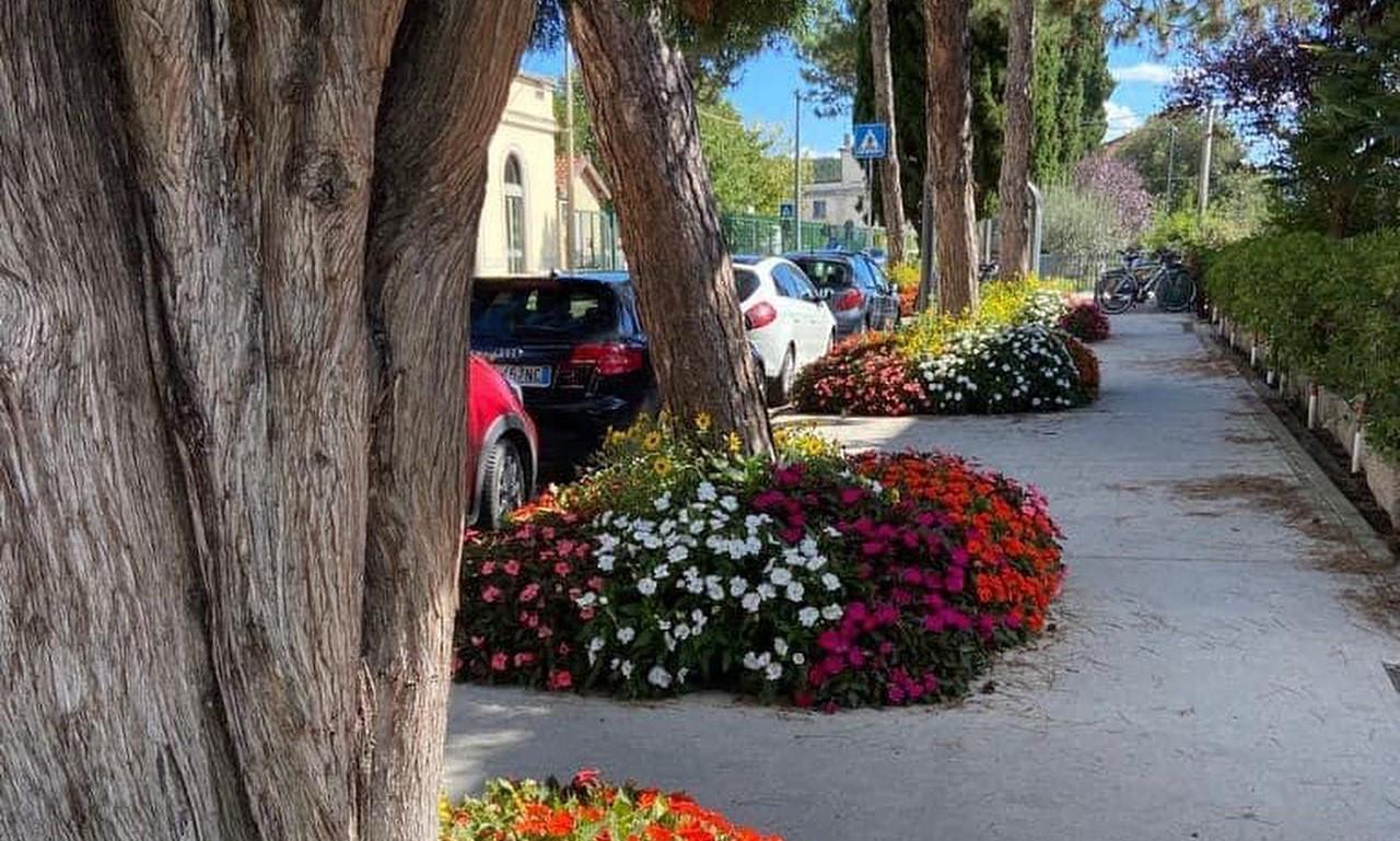 Immagine per Monfalcone nella gara internazionale dei Comuni Fioriti: «puntiamo alla città turistica»