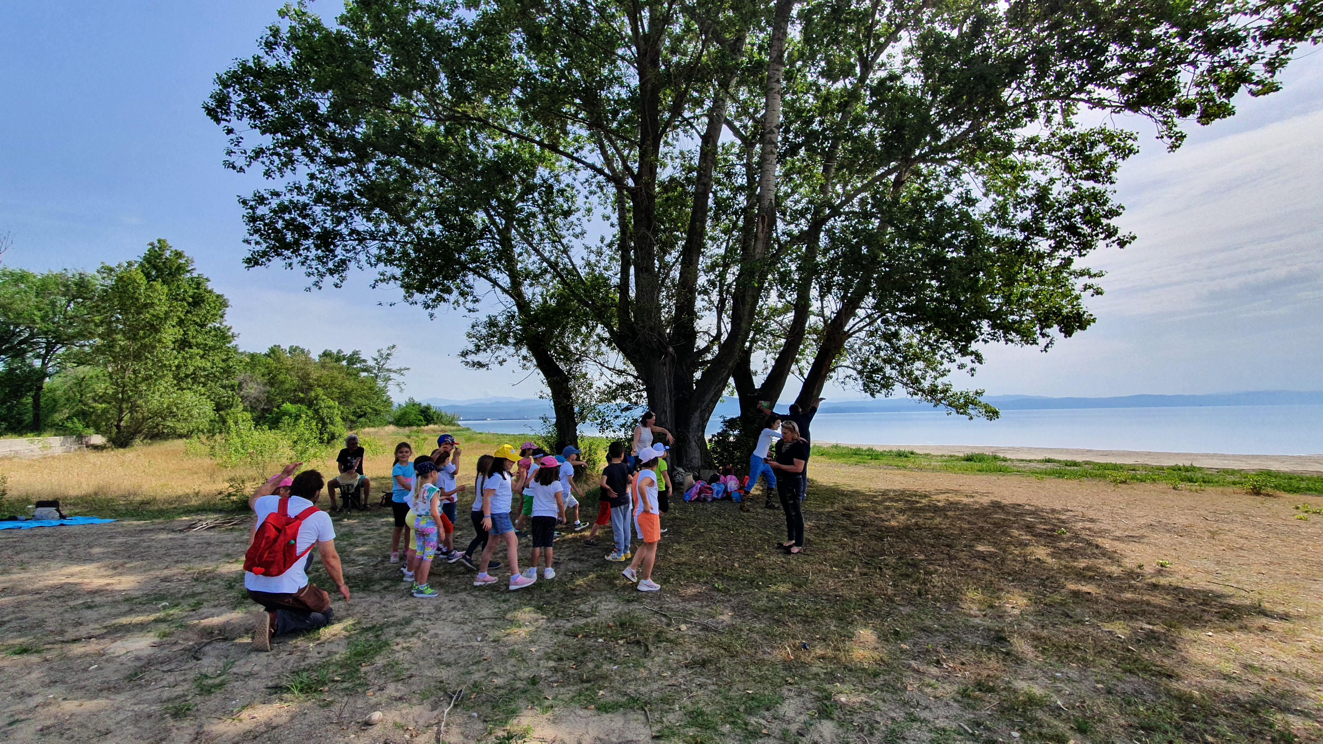 Copertina per Ripensare il Lido di Staranzano più inclusivo, workshop con gli esperti