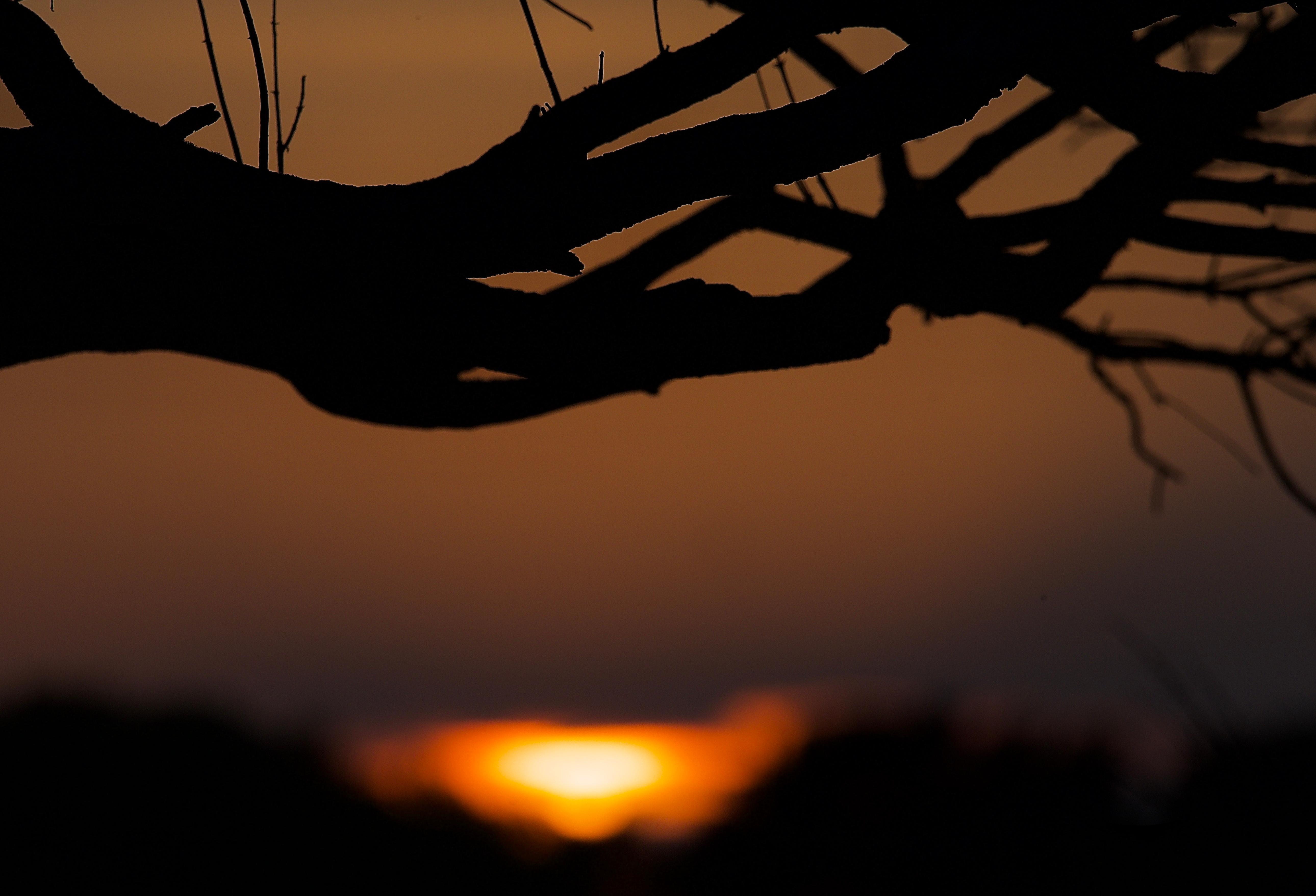 Immagine per A Turriaco le foto di Lucio Ulian: negli scatti l'omaggio alla natura