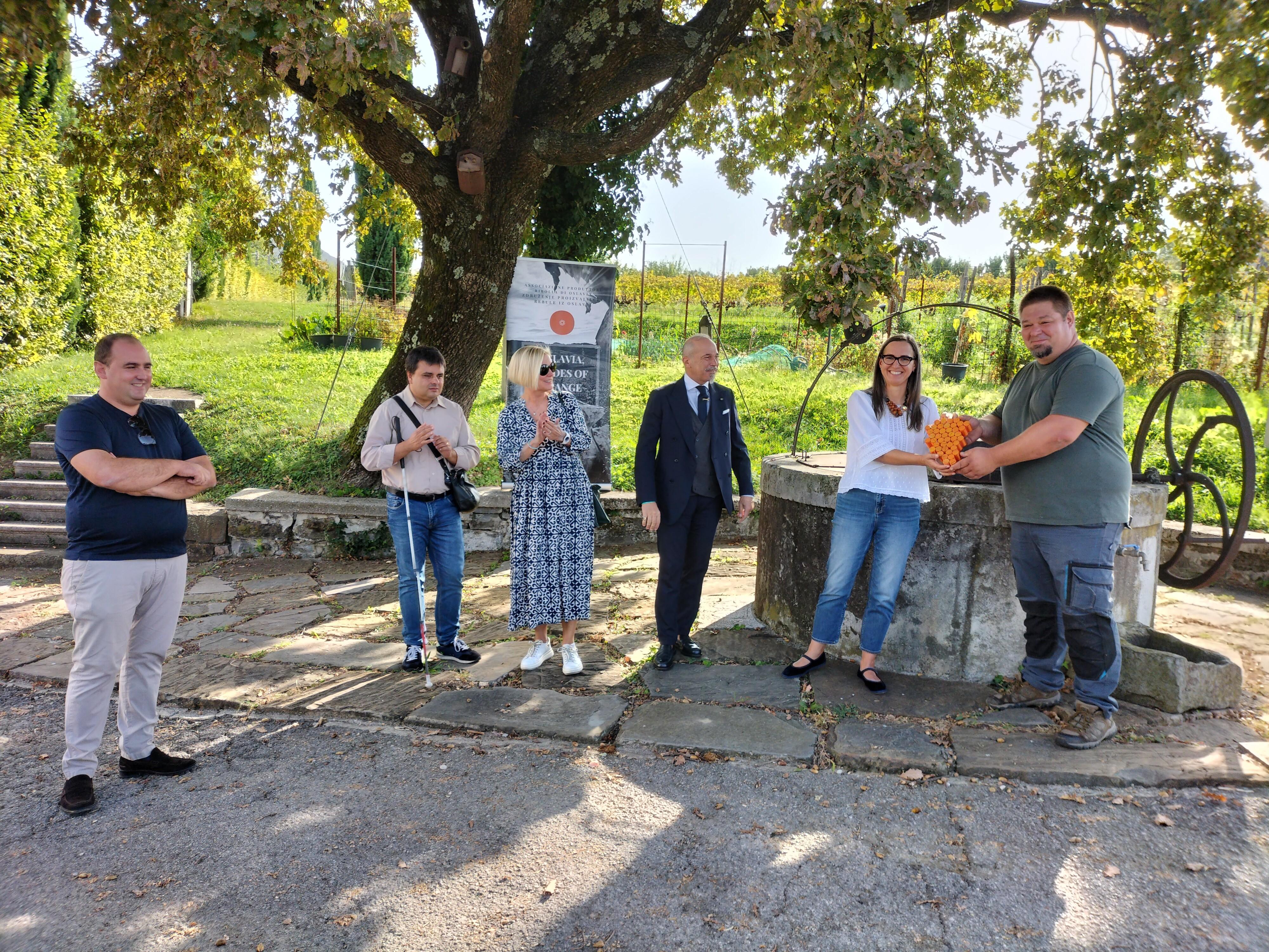 Copertina per Al via Ribolliamo 2023: stamattina il Passaggio del grappolo tra i produttori