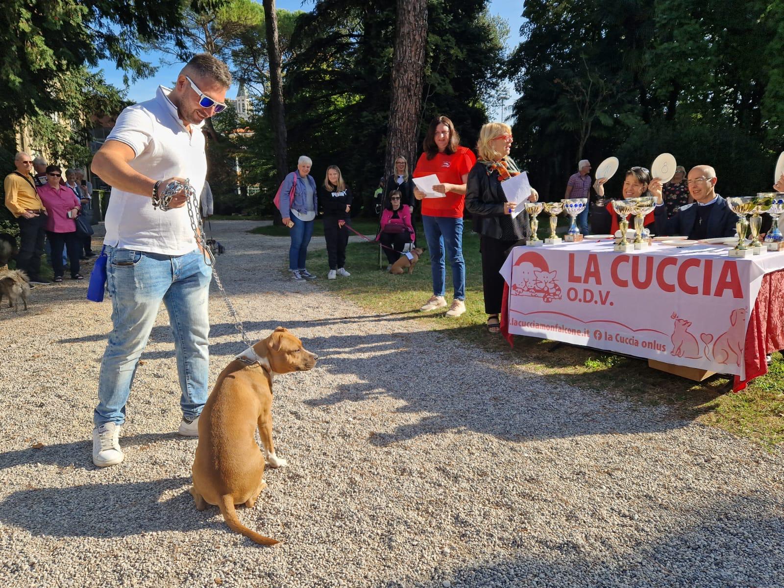 Copertina per 24 cani nel canile di Gorizia, dalla benedizione e sfilata l'appello all'adozione