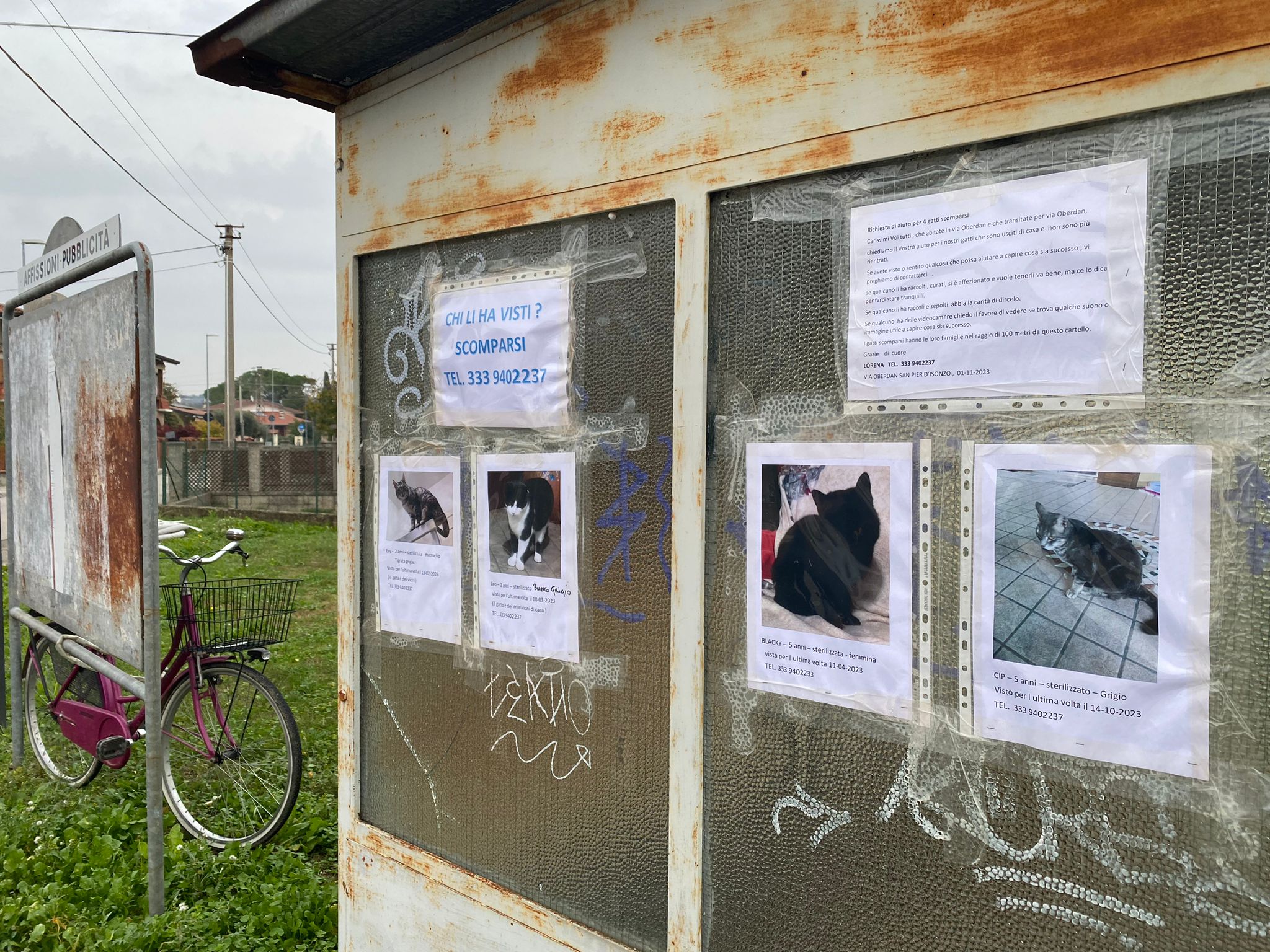 Immagine per Gatti spariti o picchiati in pieno giorno: il caso a San Pier d’Isonzo