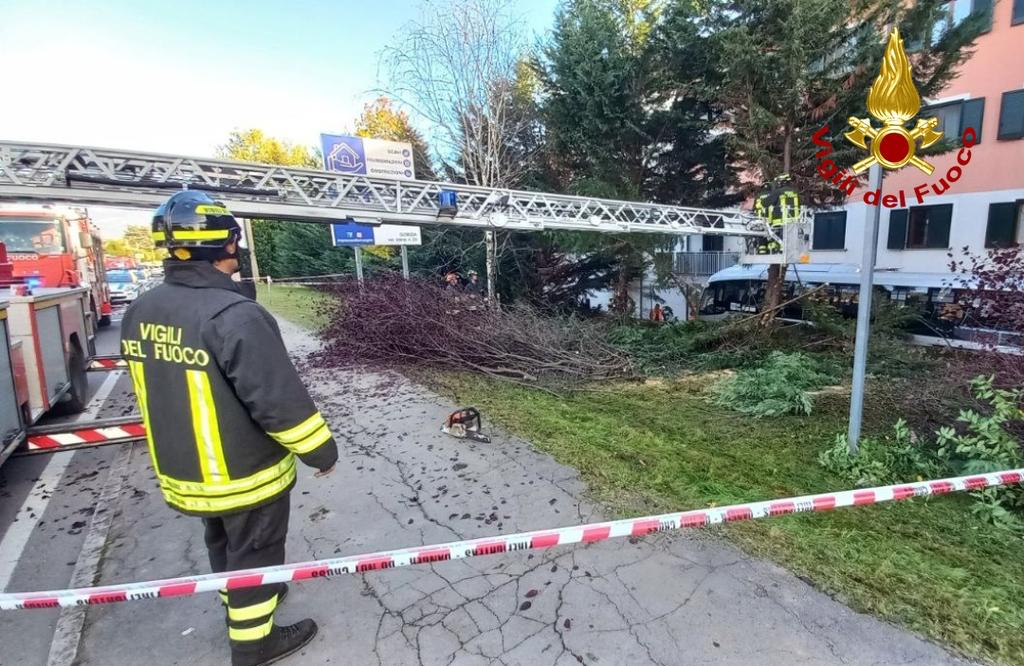 Immagine per Esce di strada con il pullman e finisce nel cortile di una casa, morto l'autista