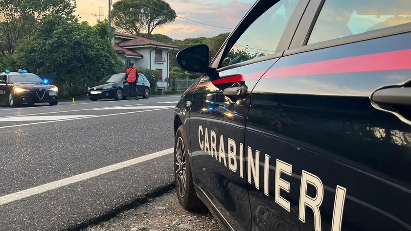 Immagine per Villesse, arrestato passeur cinese: trasportava sei immigrati clandestini
