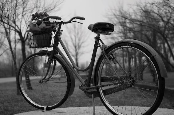 Immagine per A Turriaco un festival dedicato a bici e sostenibilità: previsti interventi anche alle piste ciclabili