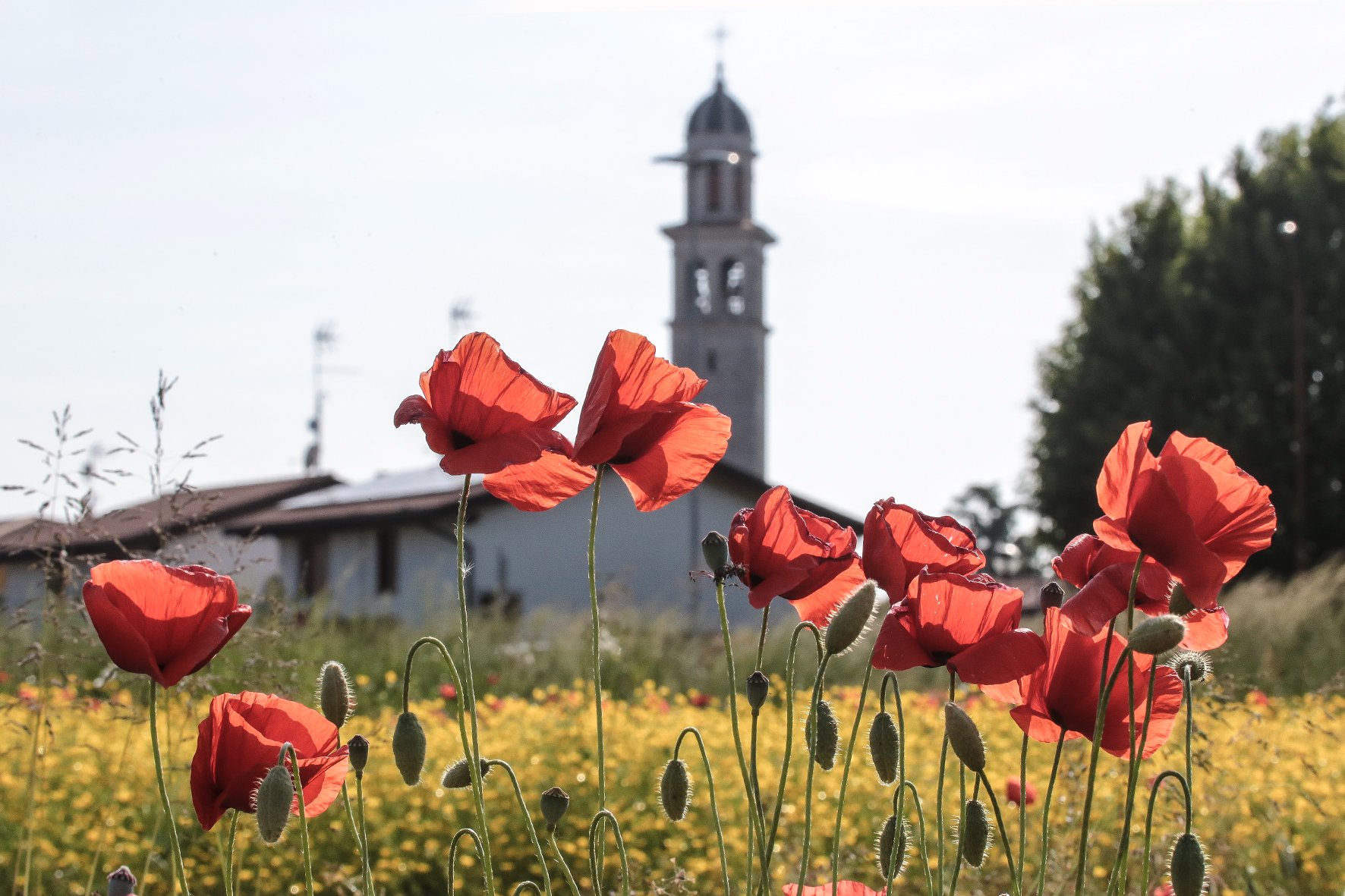 Immagine per San Pier d’Isonzo si racconta tra storia e natura: ecco progetto e mappa