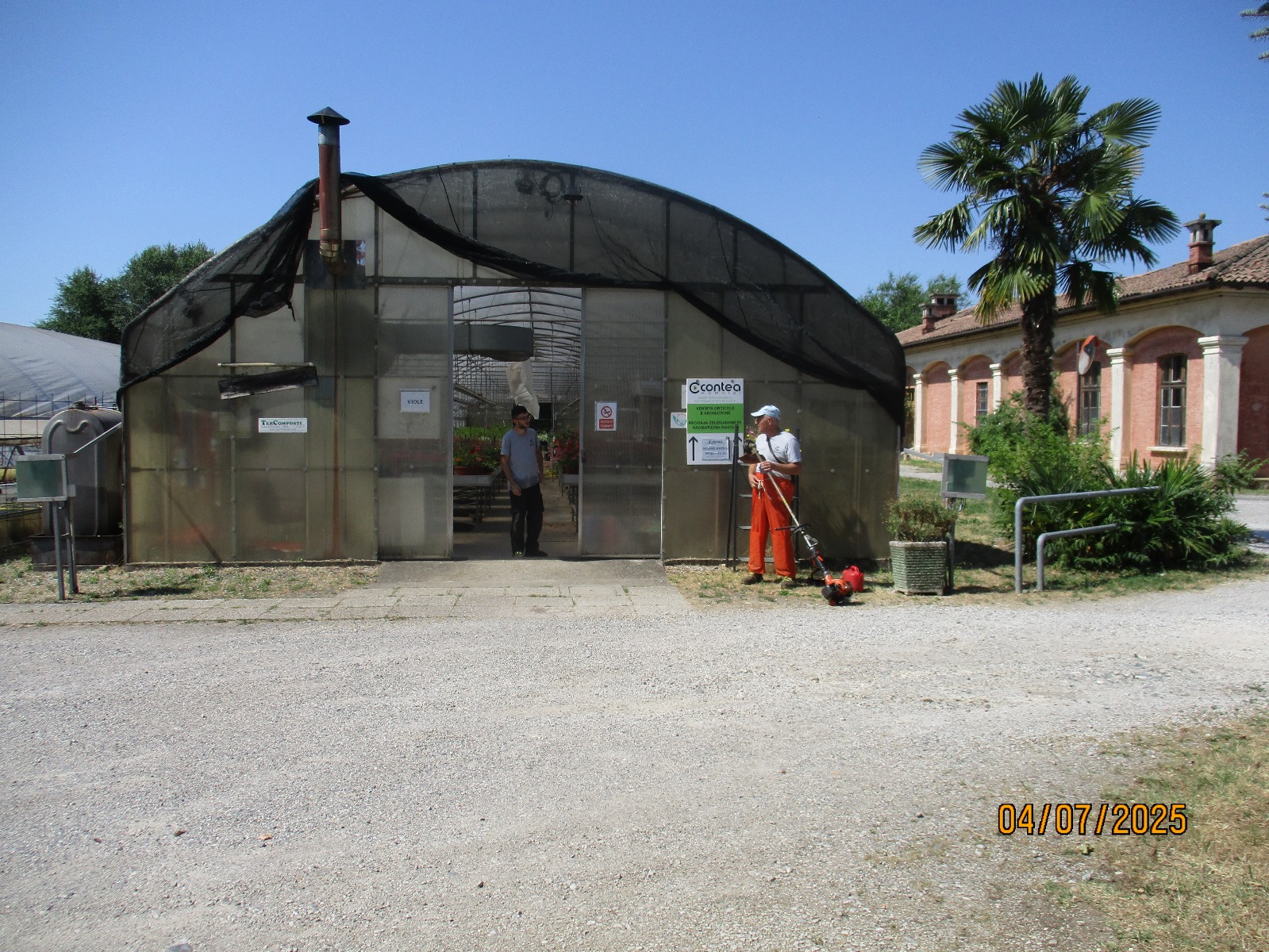 Copertina per Furti di piante al Parco Basaglia, l'appello delle associazioni per la salute mentale