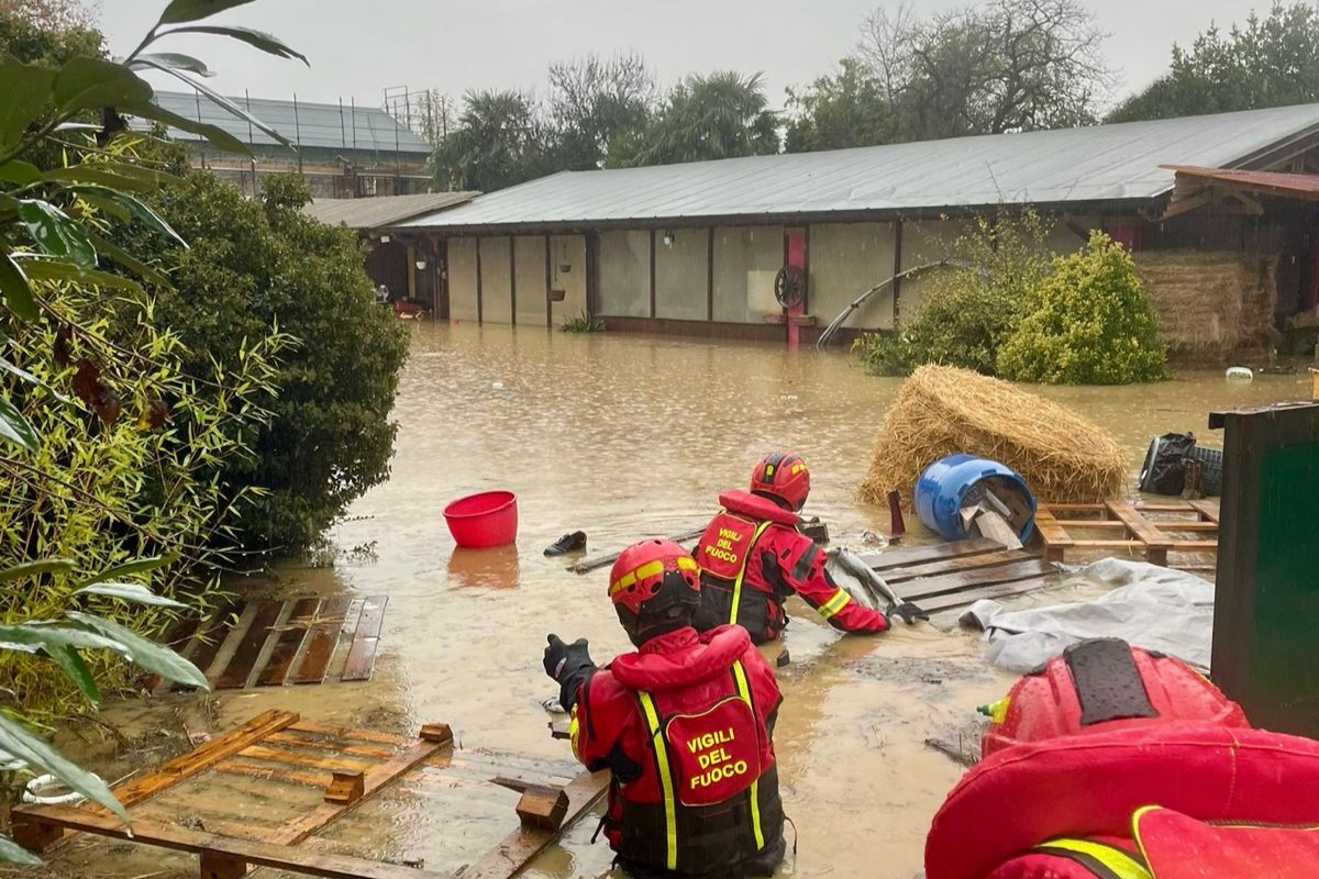 Immagine per Alluvione a Versa: salvati otto cavalli ma la scuderia è distrutta