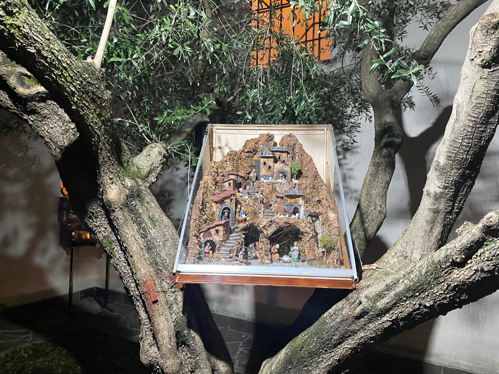 Immagine per Dai presepi di San Rocco al monito in Cattedrale, il percorso a Gorizia tra tradizione e accoglienza