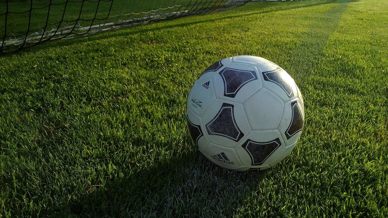 Immagine per LME vs Pro Gorizia: come si avvicinano le squadre al match