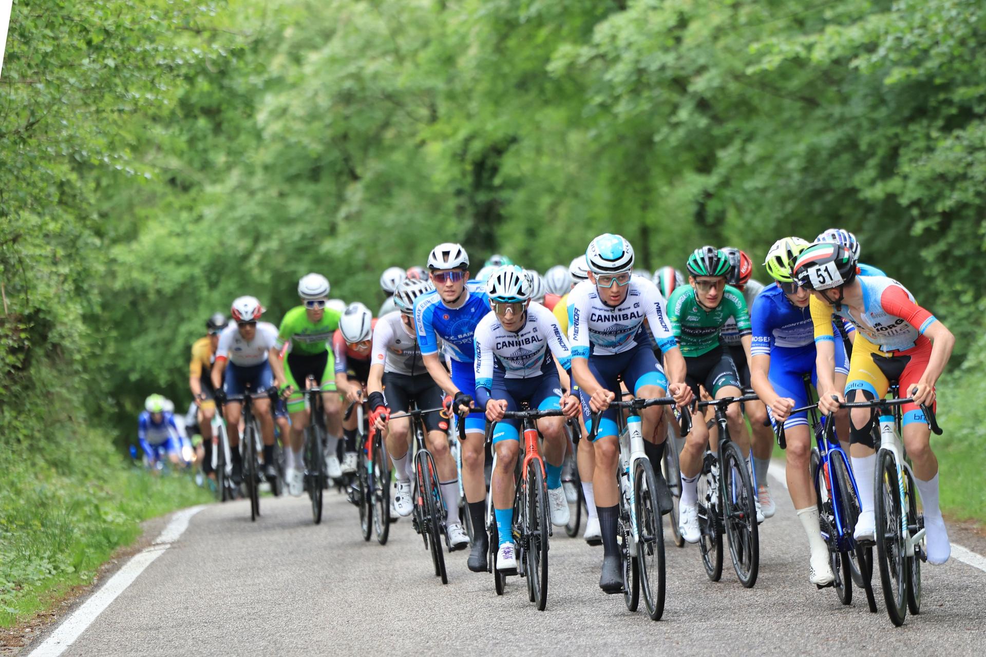 Immagine per Coppa Montes, 162 juniores al via: sfida internazionale sulle strade del Friuli Venezia Giulia