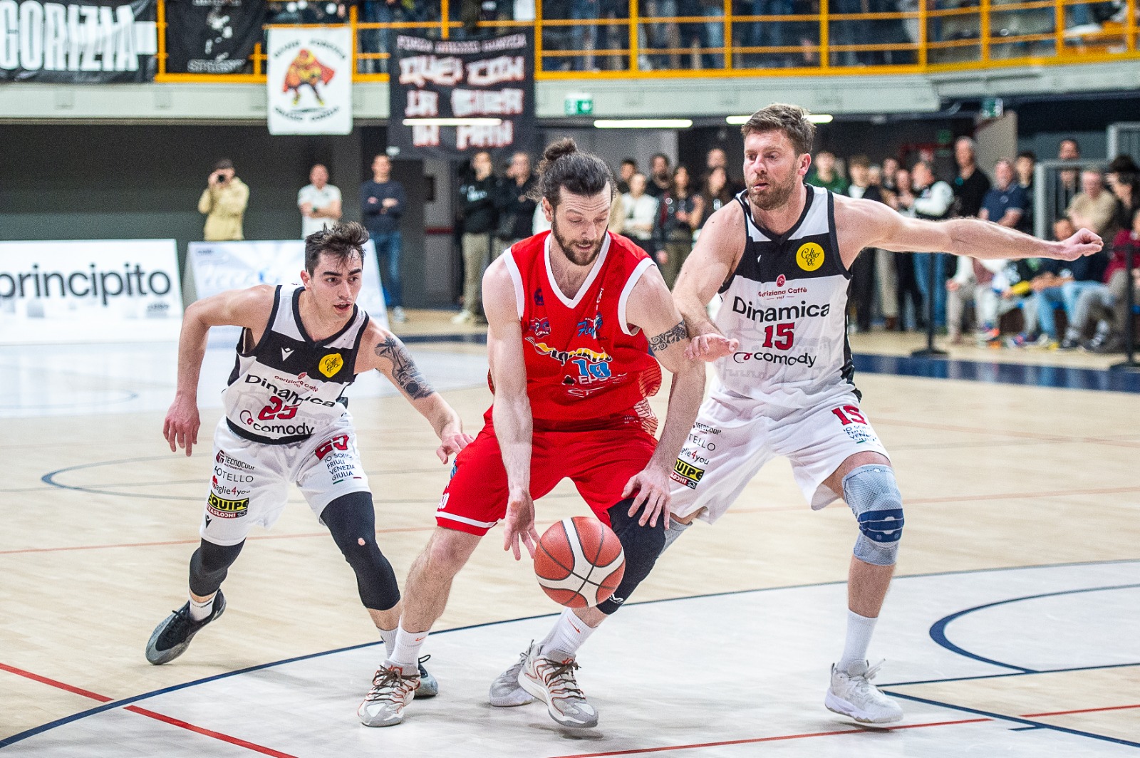 Immagine per Dinamo, impresa al PalaBigot: battuta la capolista Ozzano