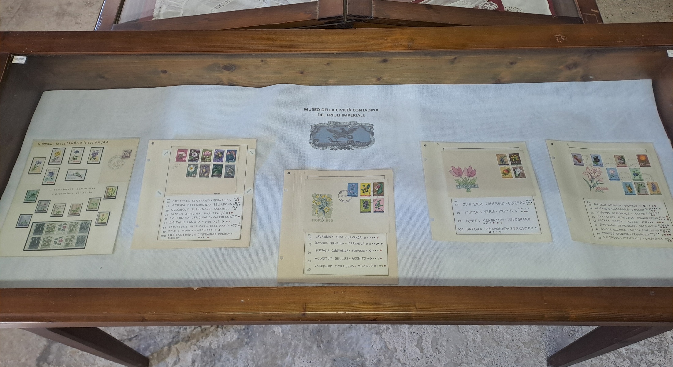 Immagine per Aiello del Friuli, al Museo della civiltà contadina due mostre raccontano la storia della posta e del mondo vegetale