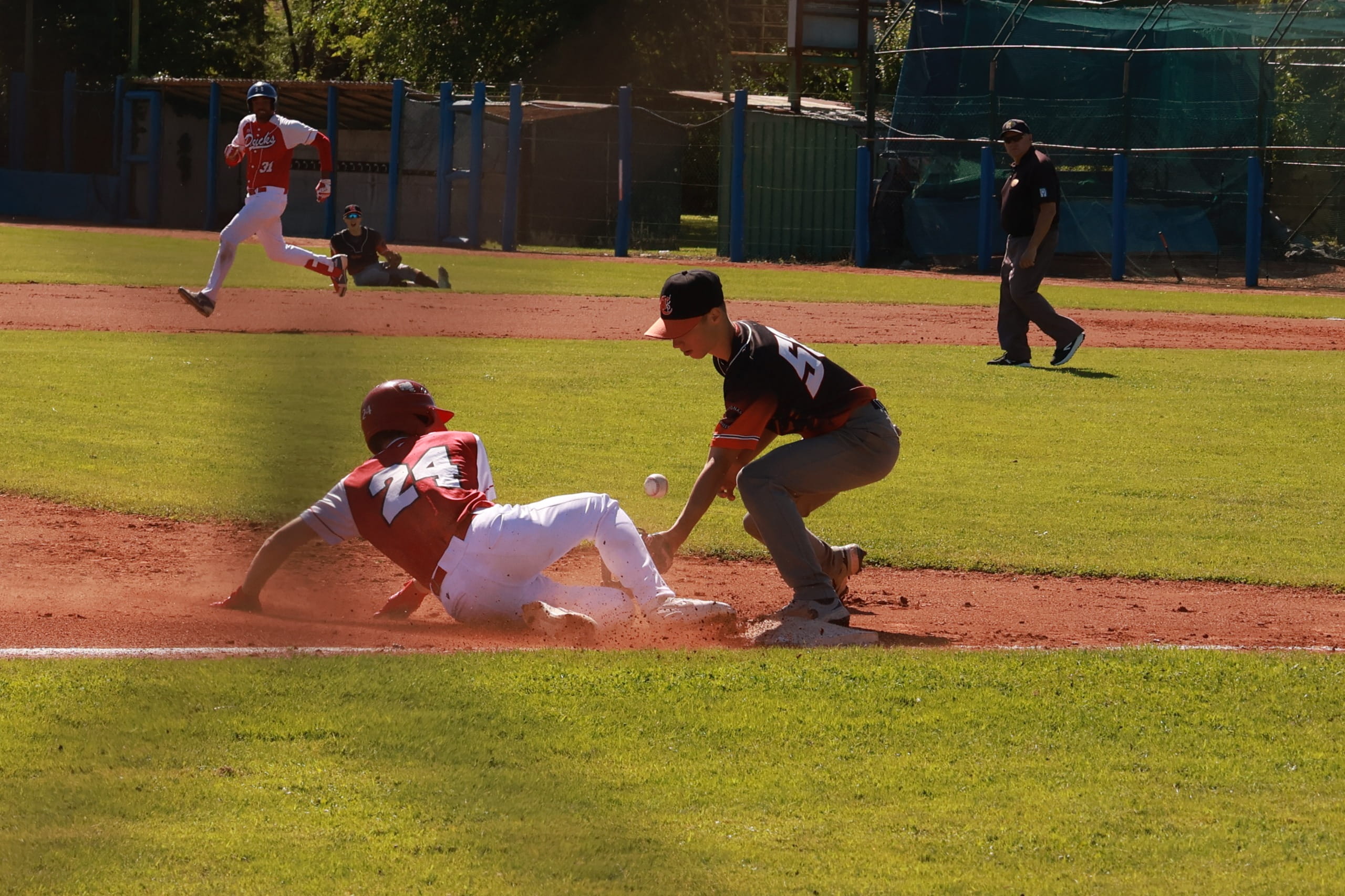 Baseball internazionale a Staranzano: torna l’Alpe Adria Tournament dei Ducks