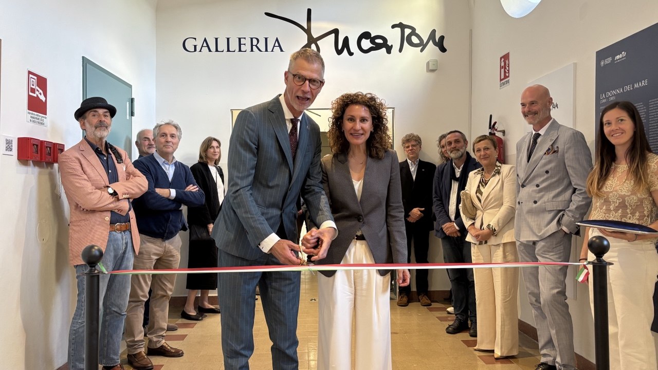 Immagine per A Gorizia nasce la Galleria Ducaton: esposte le 28 tele de 'La donna del mare'