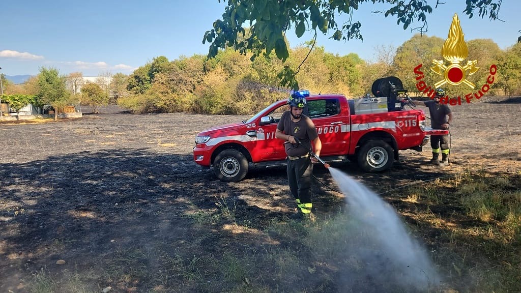 Immagine per Incendio d’interfaccia a Savogna d’Isonzo, fiamme vicino alla zona industriale