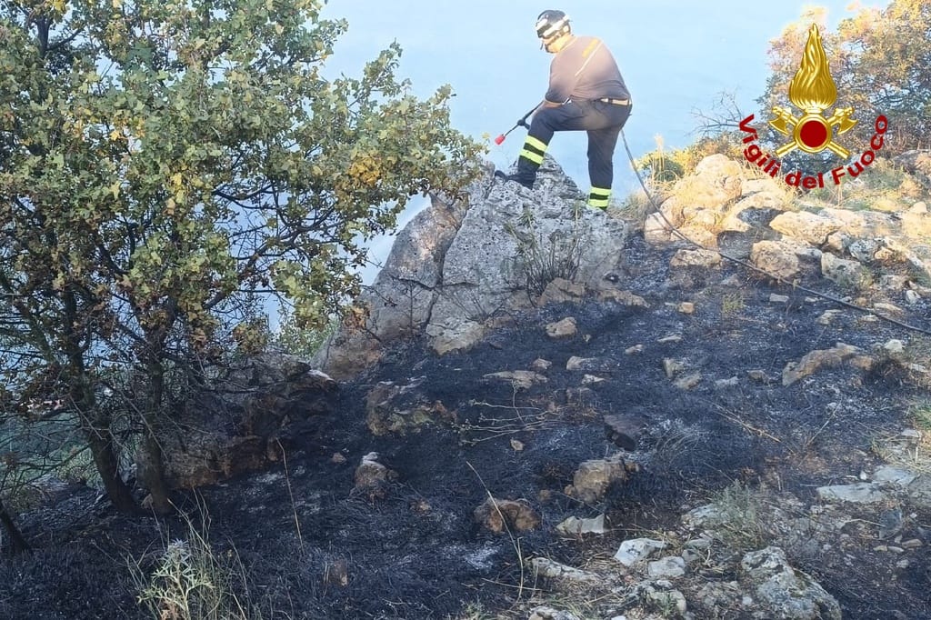 Immagine per Incendi sul Carso: Selz sotto controllo, la Moschenizza brucia ancora