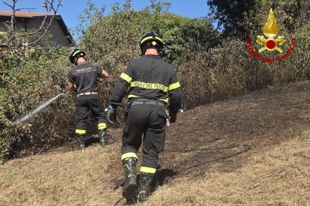Immagine per Cinque principi d’incendio vegetazione nel Goriziano, interventi dei Vigili del fuoco