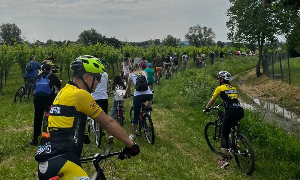 Immagine per Bambini, genitori e docenti pedalano insieme: la festa della Da Feltre a Cormons