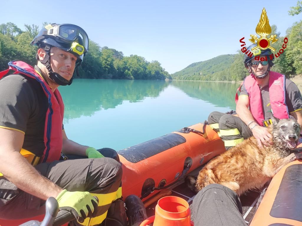 Immagine per Cane cade nel fiume Isonzo a Gorizia, salvato dai vigili del fuoco