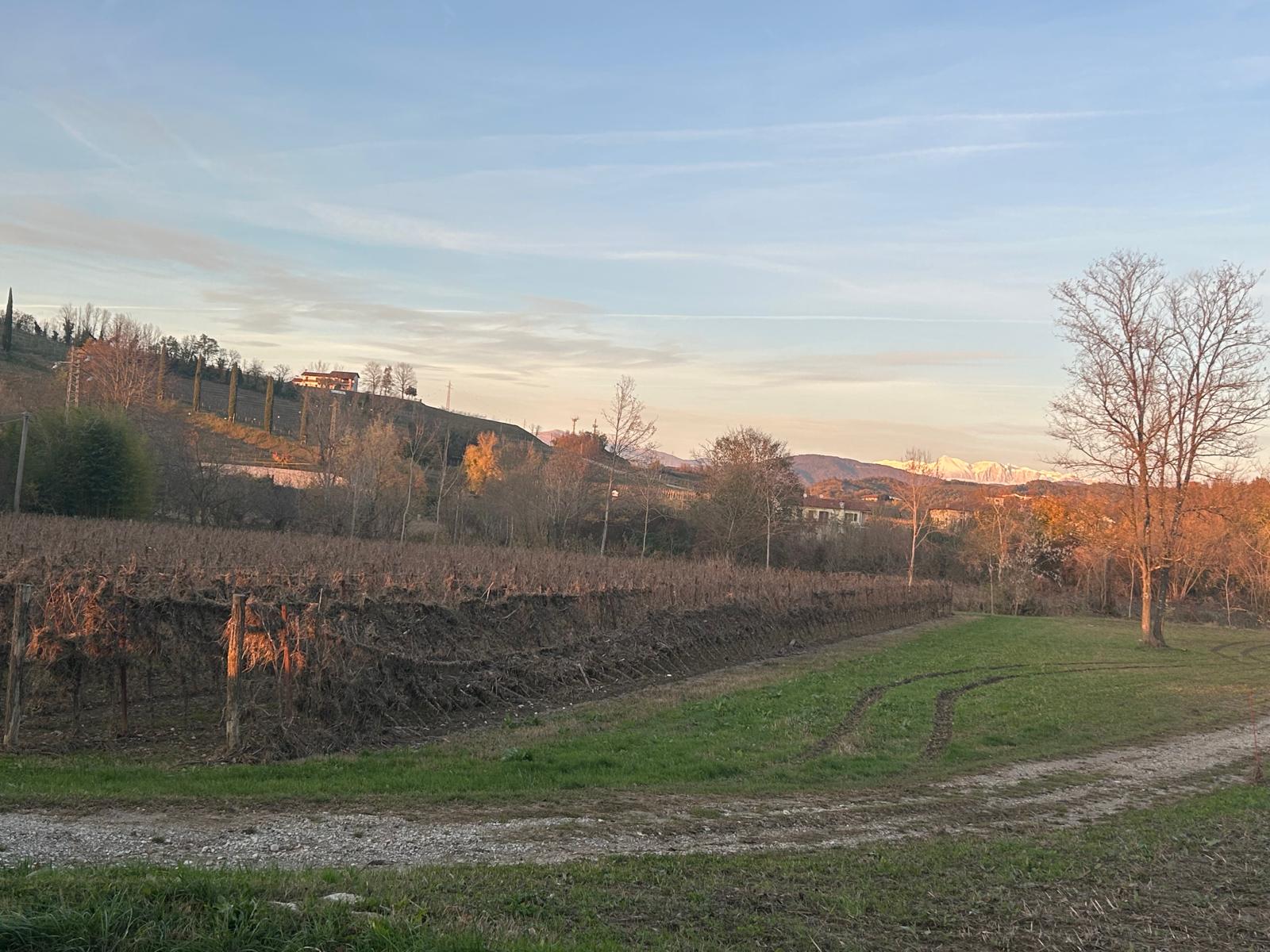Dolegna, il sindaco Comis scrive alla Procura: «Necessario intervento urgente per la manutenzione dei corsi d'acqua»