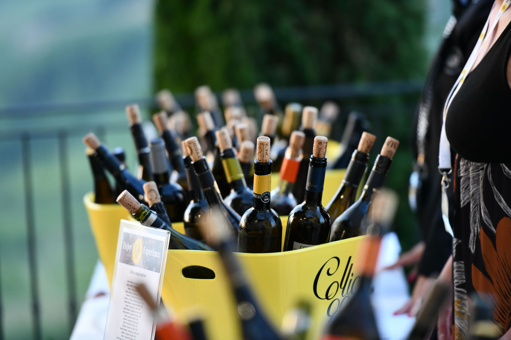 Collio evolution, ecco il futuro del Friulano tra tradizione e innovazione