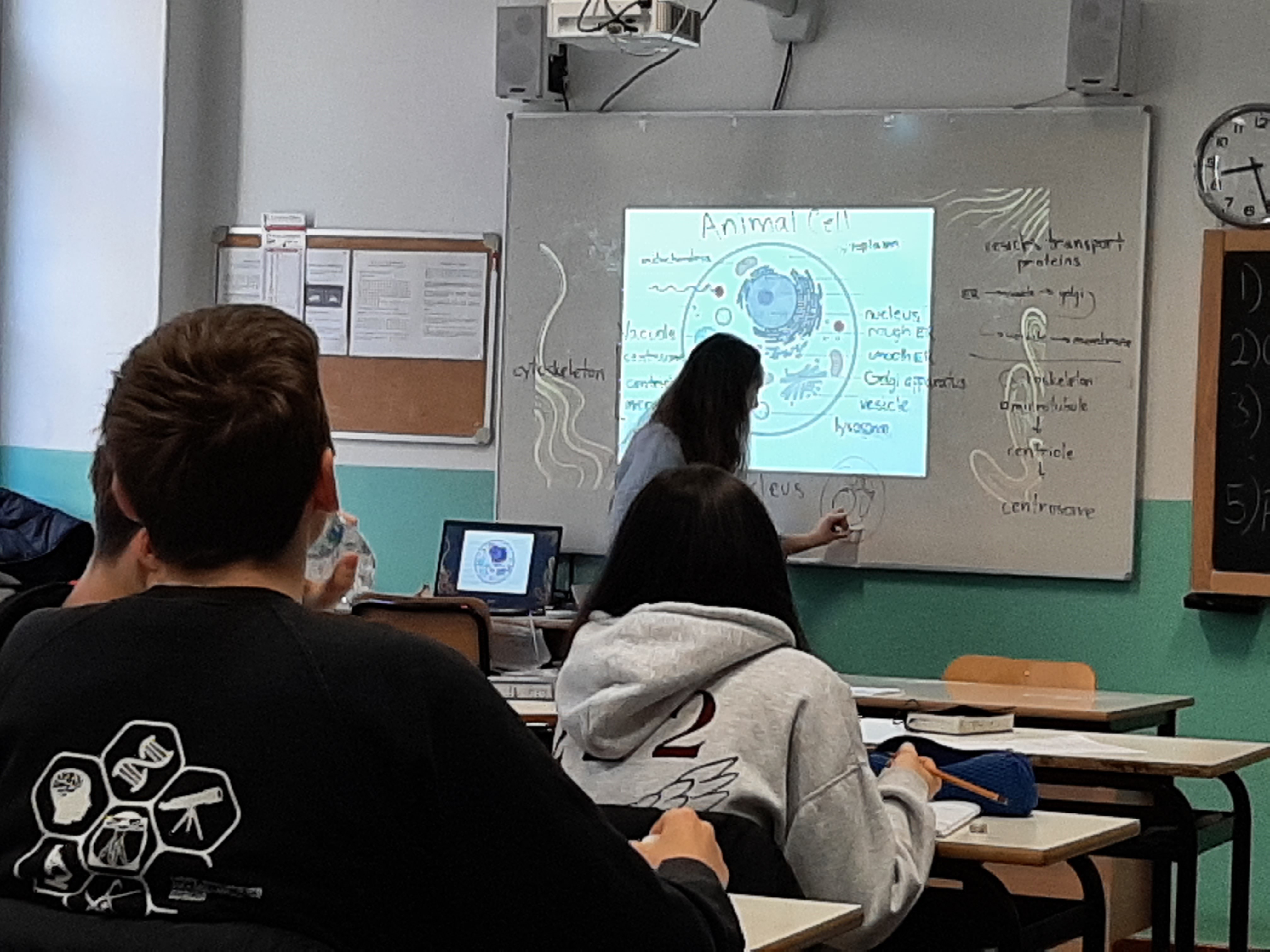 Immagine per A lezione con il MIT: il Global Teaching Lab arriva al Duca degli Abruzzi