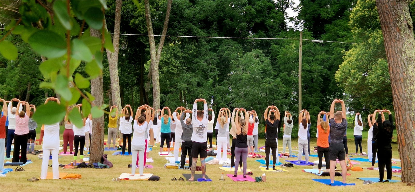 Copertina per Fotonotizia - Yoga all’alba a Cormons: in cento a Villa Locatelli per salutare il solstizio d’estate