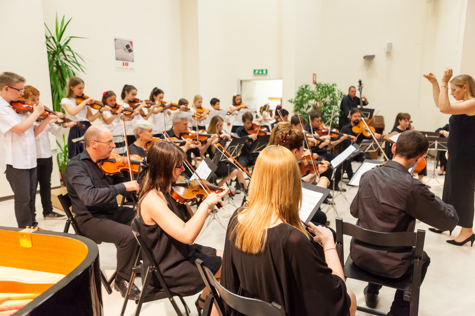 Immagine per L'Orchestra d'Archi di Farra d'Isonzo a Trieste per un concerto tra jazz e musica classica