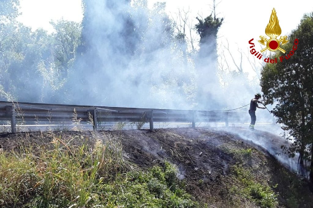 Immagine per San Canzian, sterpaglie a fuoco lungo la Statale 14: i Vigili del Fuoco fermano le fiamme 