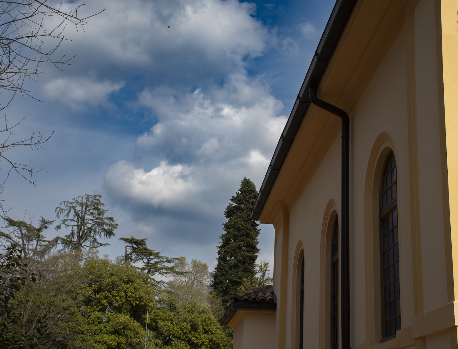 Immagine per A Gorizia nasce Piccolo Cielo nel rinnovato Parco Basaglia