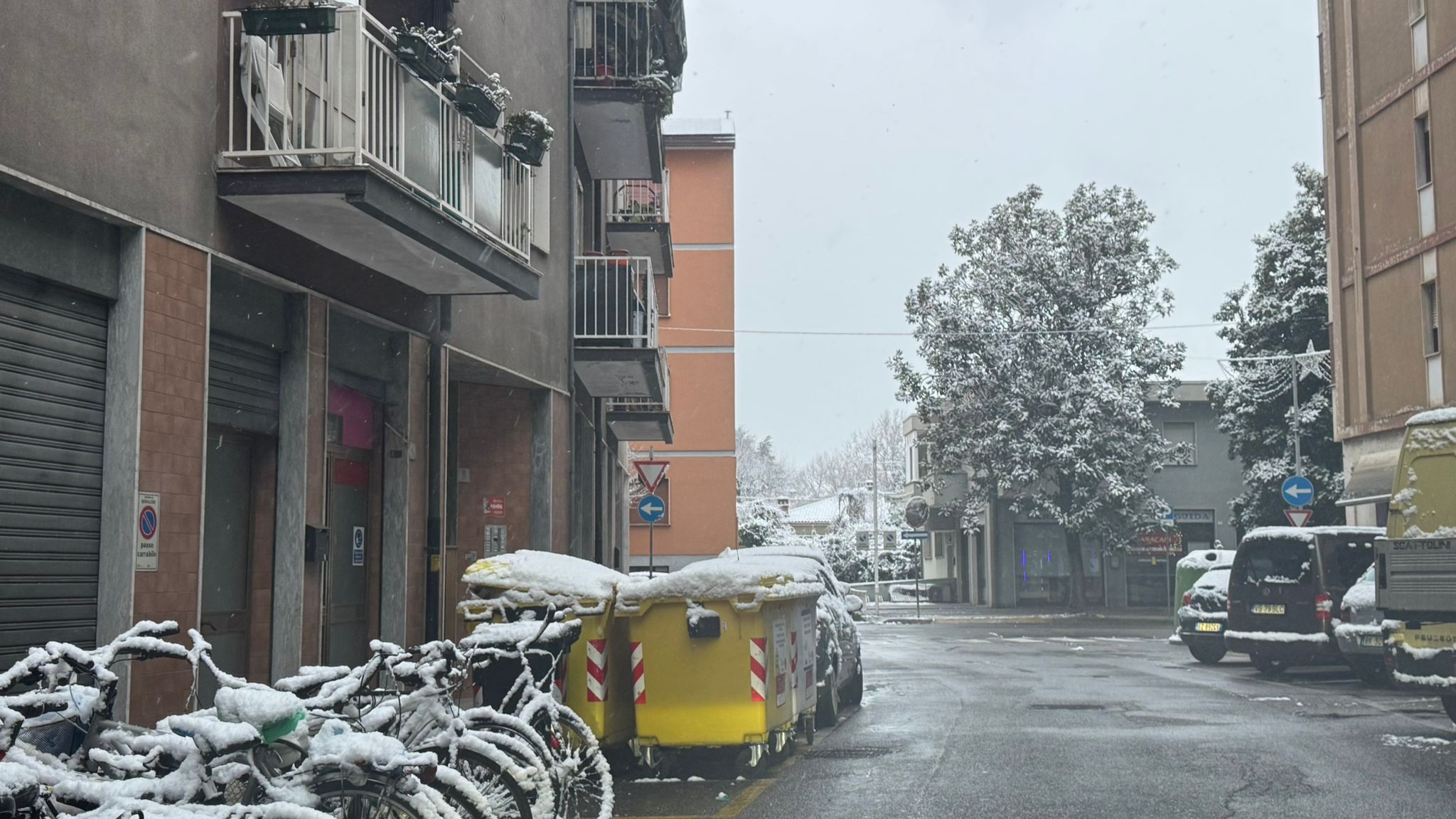Immagine per Monfalcone, è Paolo Utili l' accoltellatore di Maria Rosa Kodermaz 