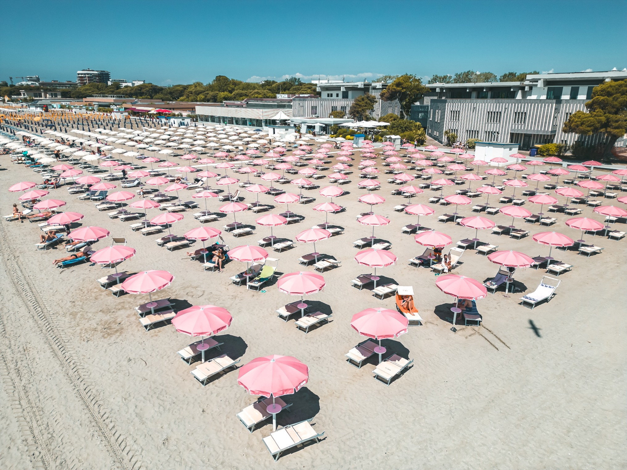 Immagine per A Grado torna la Spiaggia Rosa: 130 ombrelloni per la ricerca AIRC