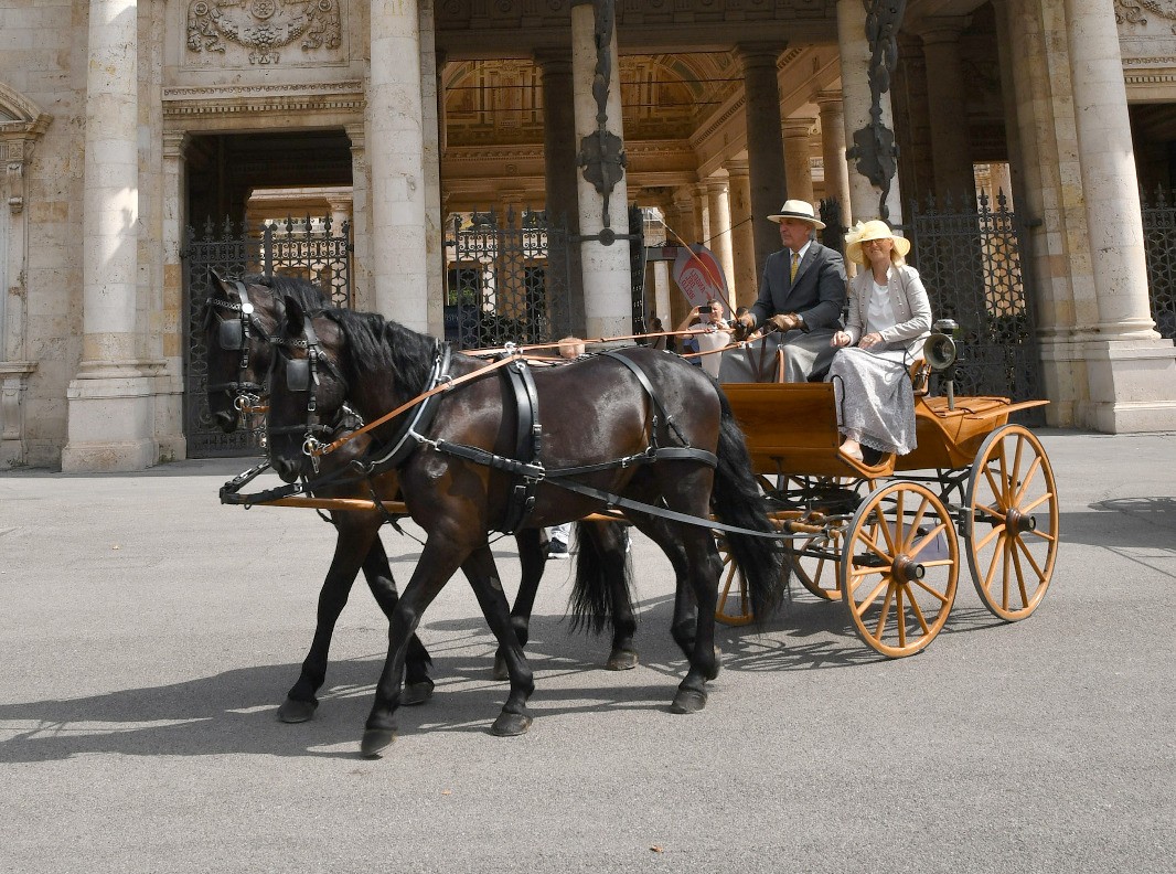 Immagine per Gorizia-Budapest in carrozza, è scontro sul viaggio con i cavalli