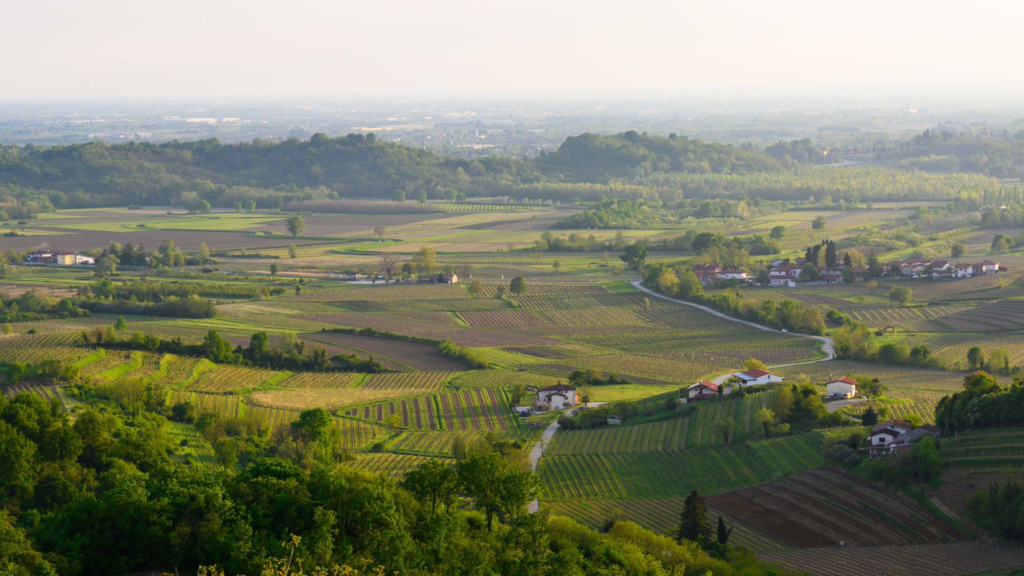 Immagine per Al Santuario 'Santa Maria Regina dei Popoli' i concerti dell'arpista Pavlic e il Coro Santo Spirito per il 'Maggio musicale in Preval'