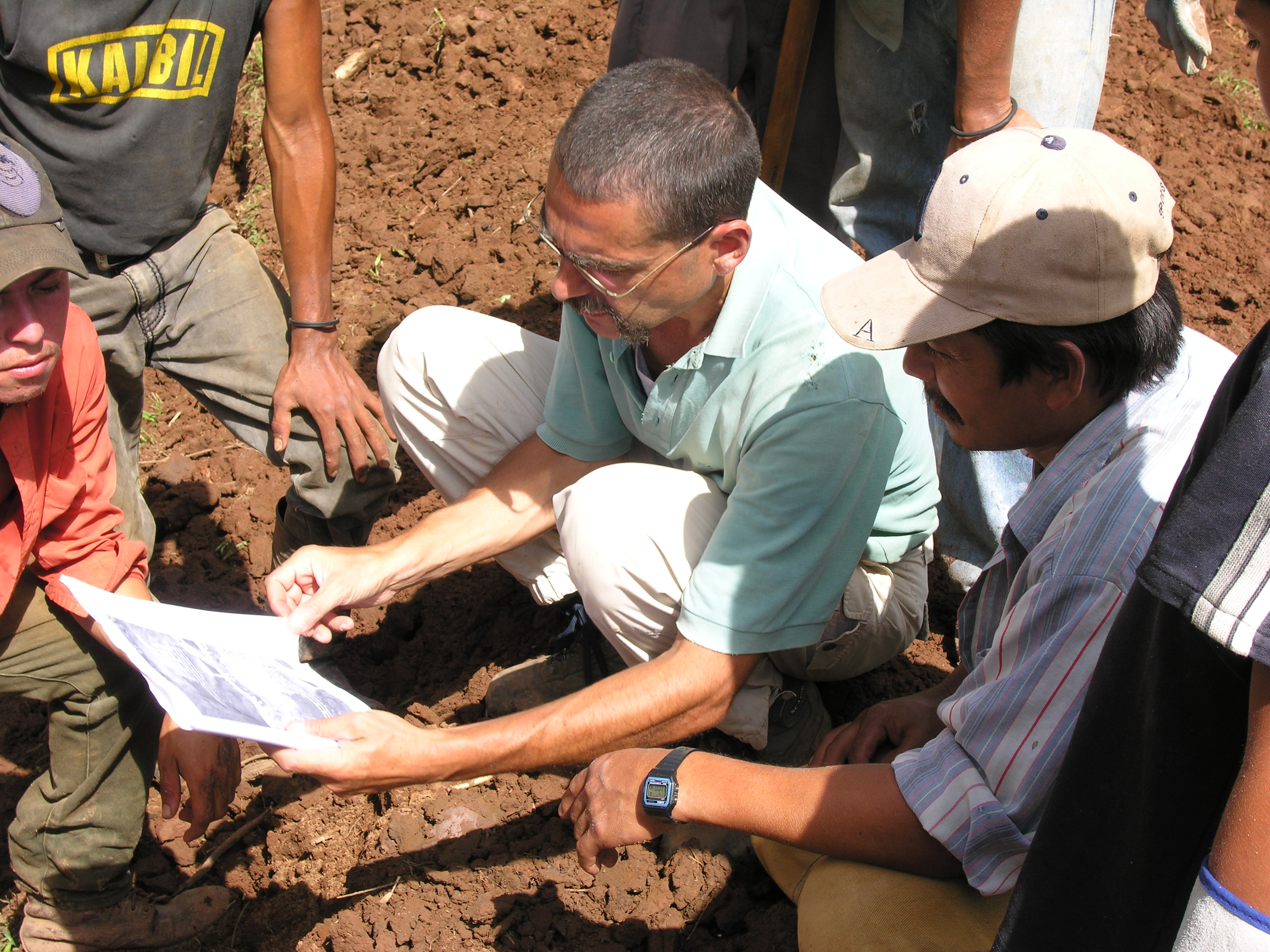 Immagine per Argini e versanti più sicuri con le piante: ecco la proposta del geologo Roberto Ferrari a Gorizia