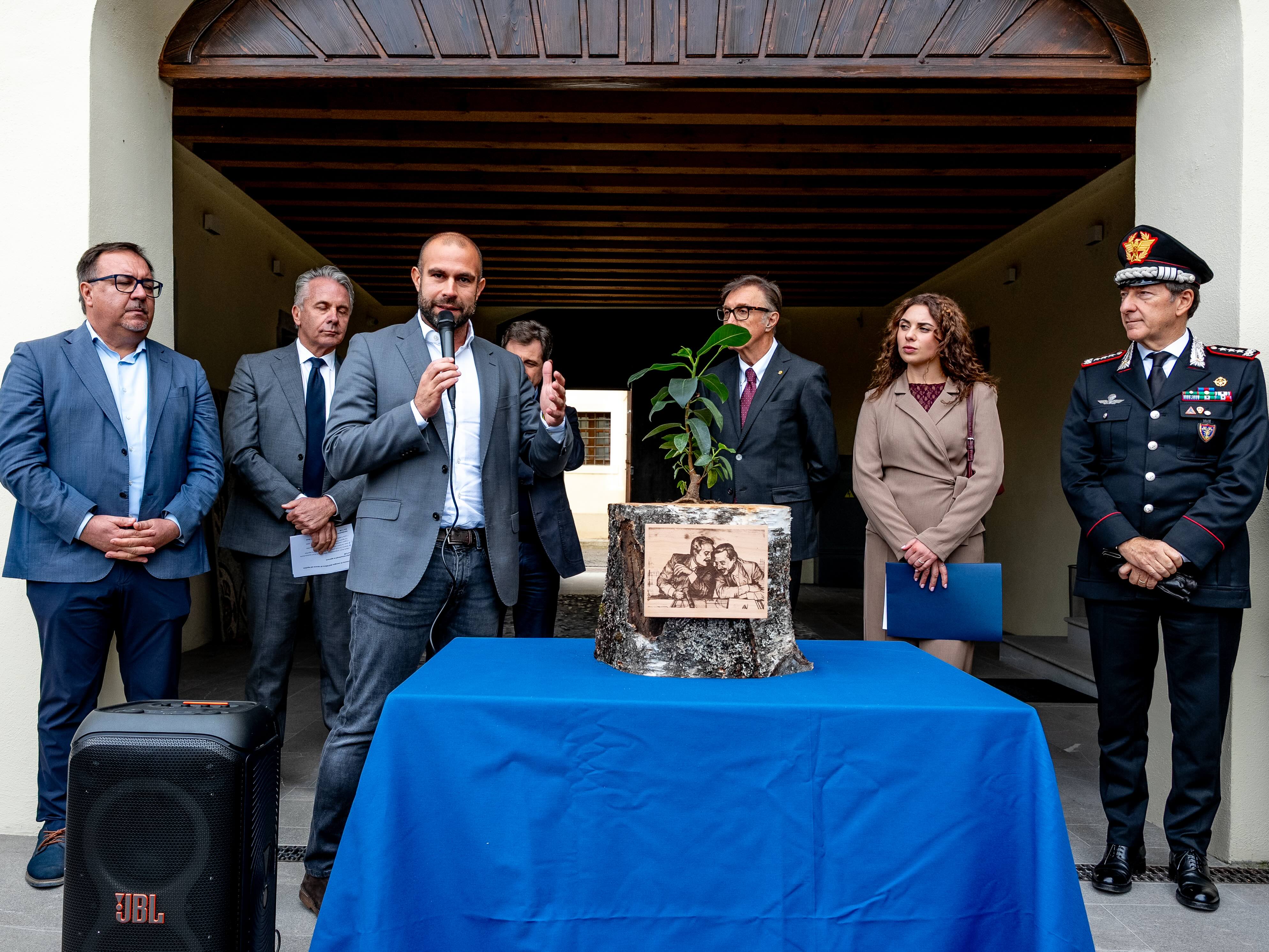 Immagine per Aquileia, una talea dell'Albero di Falcone a Palazzo Brunner: è il simbolo della lotta alla mafia
