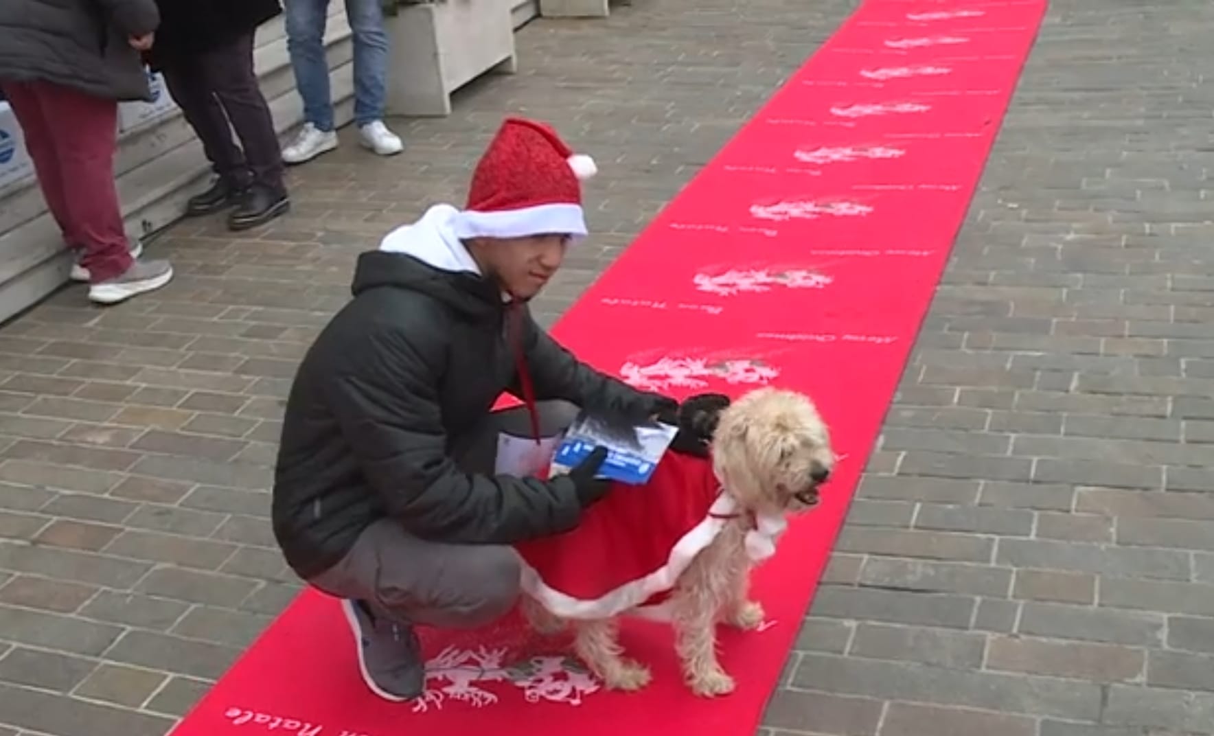 Immagine per  A Monfalcone torna ‘Zampettando Assieme’, la giornata dedicata ai cani