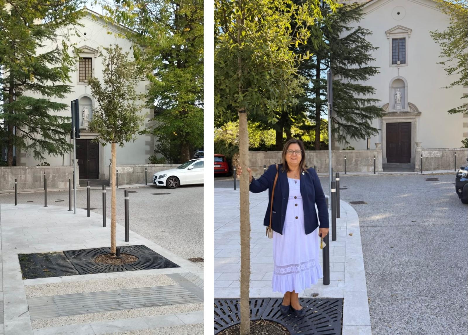 Immagine per Duino, piantato un leccio nel segno della Settimana Europea della Mobilità Sostenibile