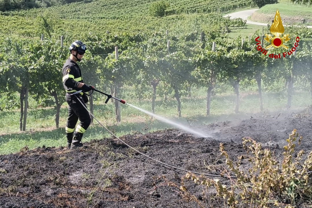 Immagine per Incendio di vegetazione a Plessiva di Cormons, evitata la propagazione ai vigneti