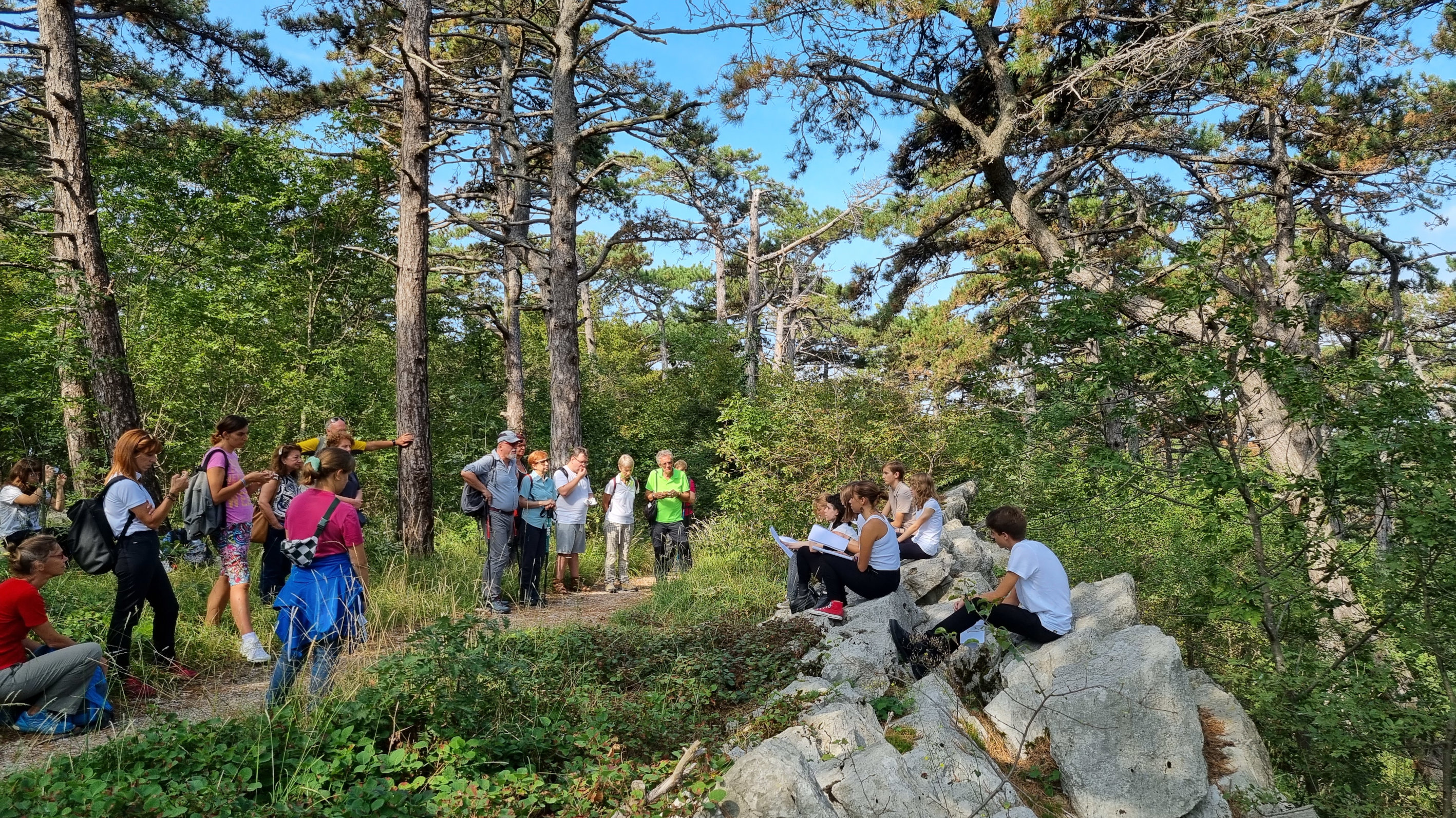 Immagine per Cormons, nel bosco di Plessiva la biodiversità raccontata attraverso i testi di Primo Levi