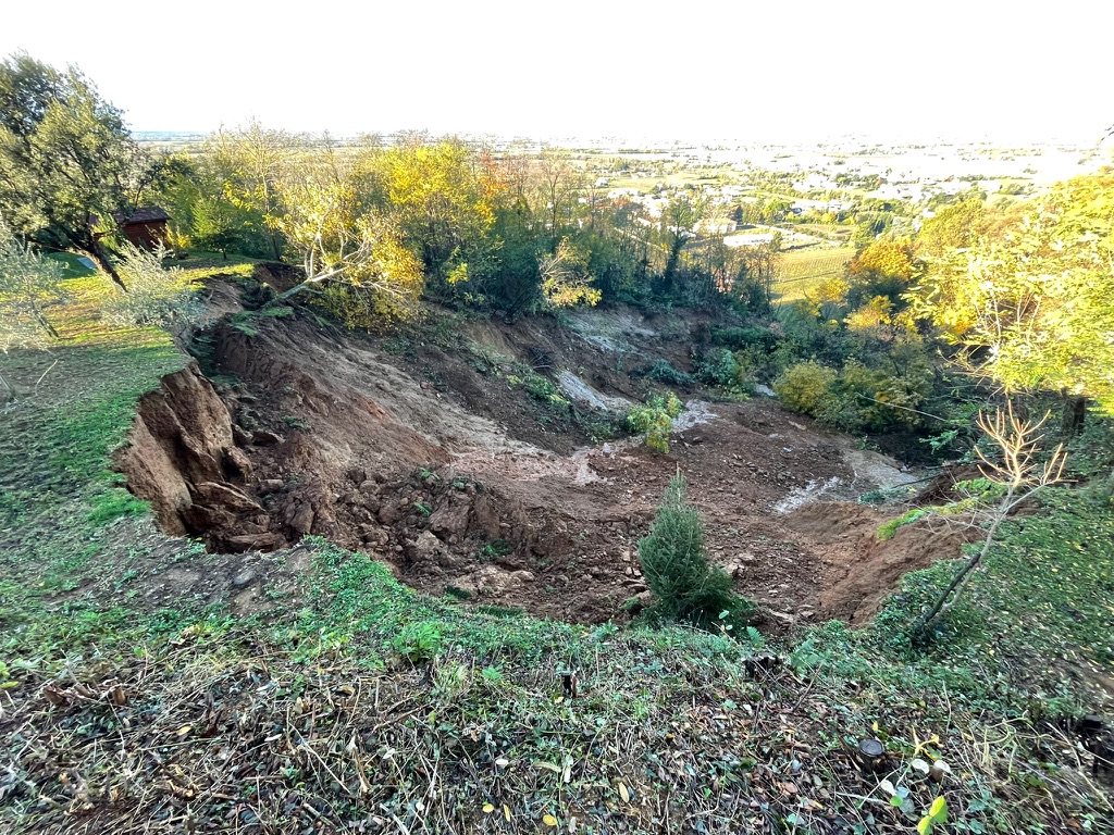 Immagine per Da Vinitaly una lettera al presidente Fedriga per salvare il Ronco della Chiesa di Brazzano