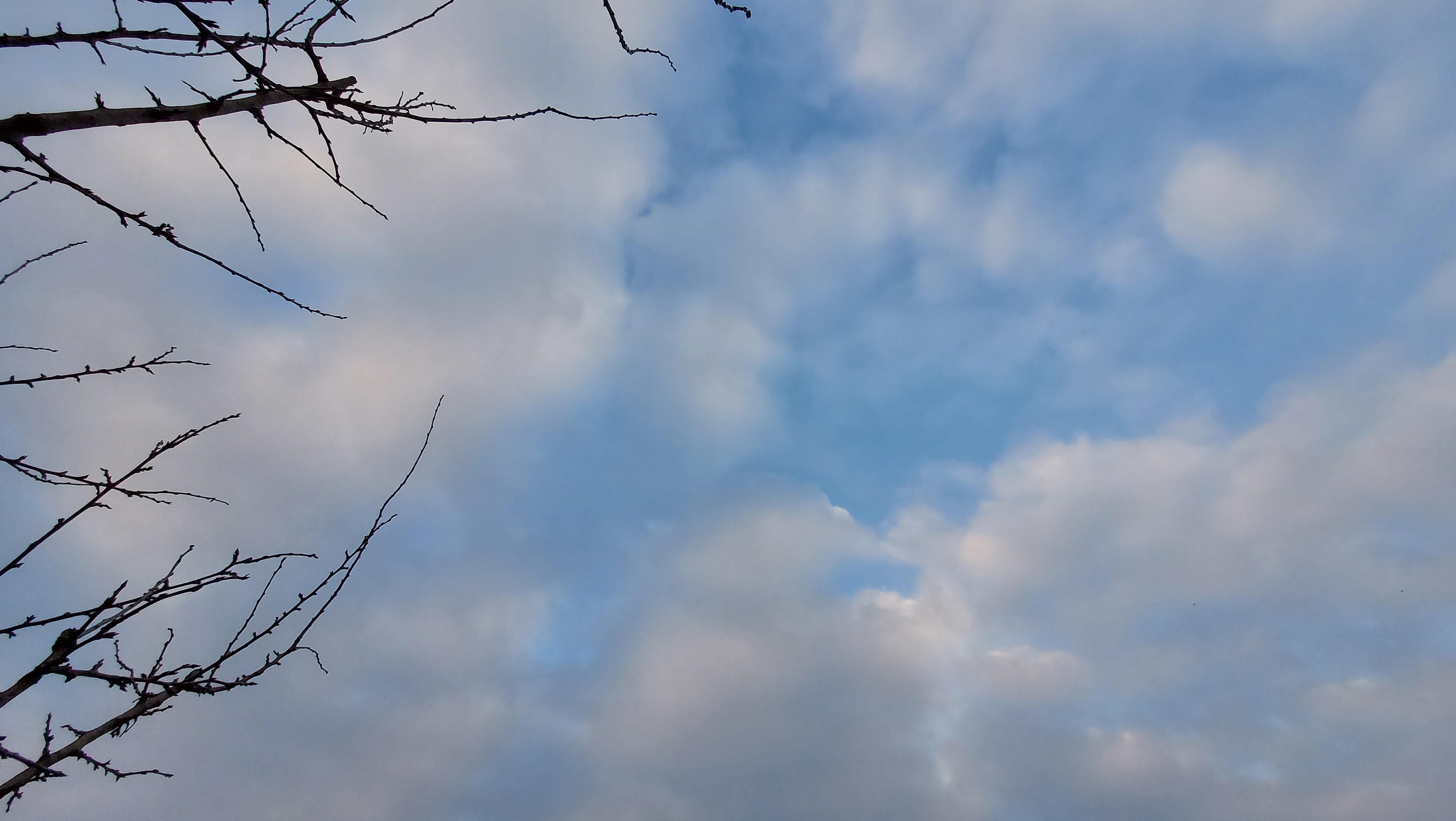 Meteo monotono sul Goriziano, regnano ancora nuvolosità persistente e foschie dense di notte