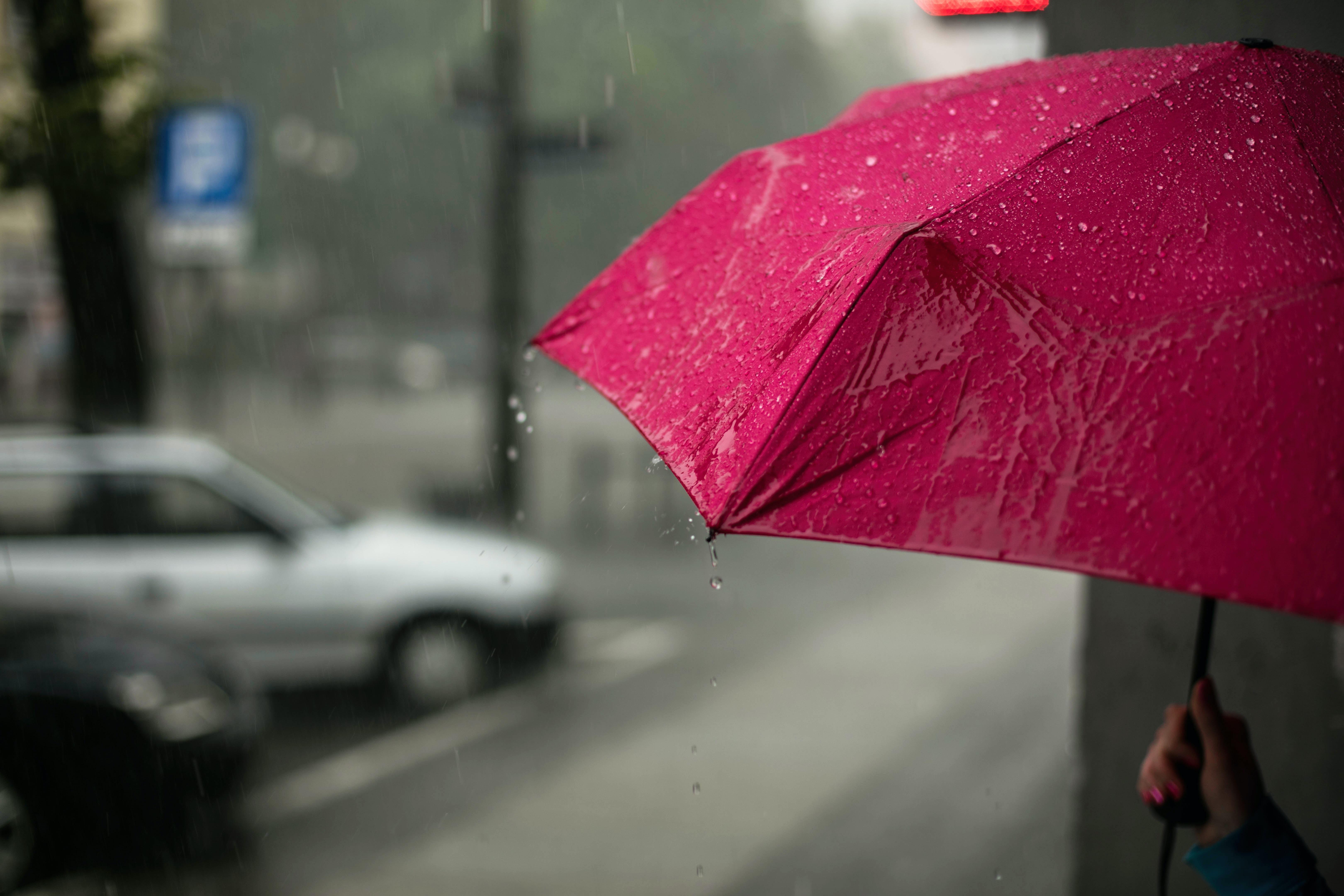 Immagine per Pioggia e vento sul Fvg, attesi temporali durante il fine settimana