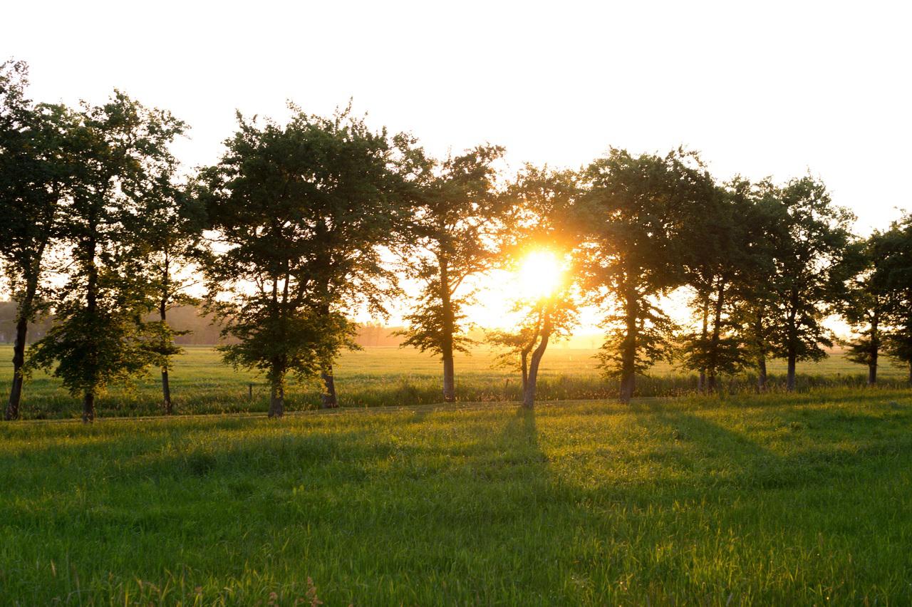 Copertina per Fine settimana di sole e caldo sul Friuli Venezia Giulia, lunedì soffia Bora