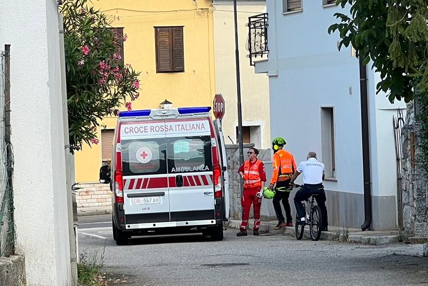Immagine per Cade da 3 metri mentre è su un albero, giardiniere ferito a Doberdò