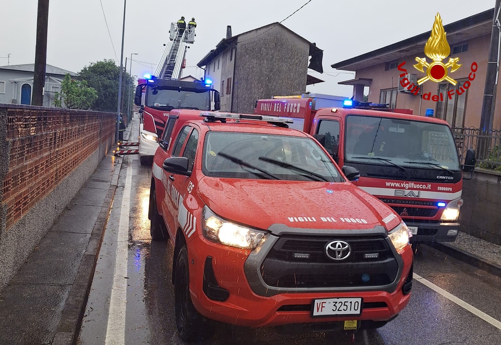 Alberi caduti e danni per il maltempo, una decina di interventi in provincia di Gorizia