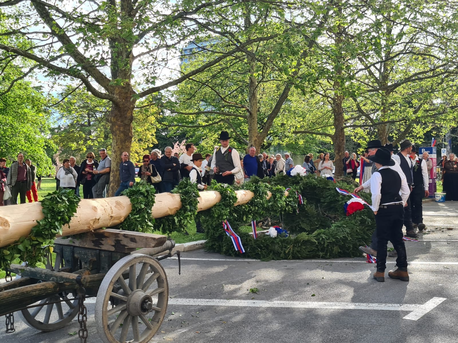 L'albero del Mlaj arriva in carrozza a Nova Gorica, la tradizione di maggio