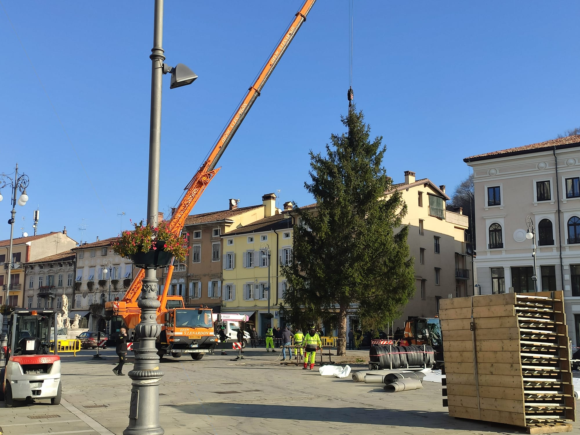 L’albero di Natale trova 'casa' in piazza Vittoria: arriva da Gorizia