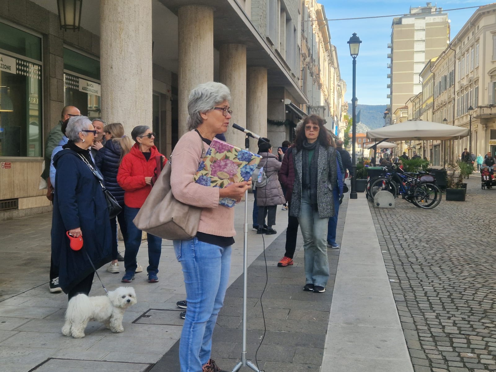 Immagine per «Prelievi e codici bianchi e verdi del Ps in appalto», il Comitato di Salute Pubblica di Gorizia torna in piazza